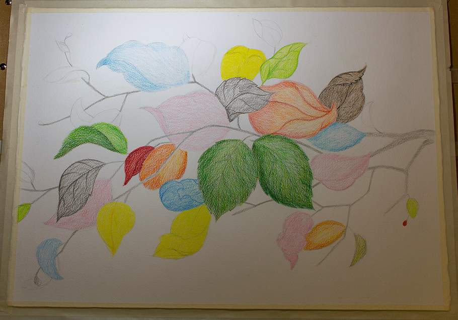 Autumn Leaves rough coloring